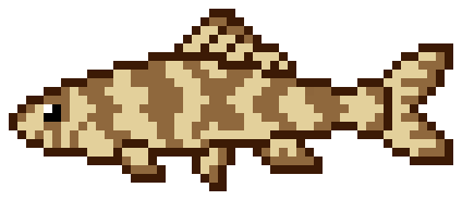 像素画_百格画_积木画_格子画_钻石画_拼豆豆_伊洛瓦底沙鳅