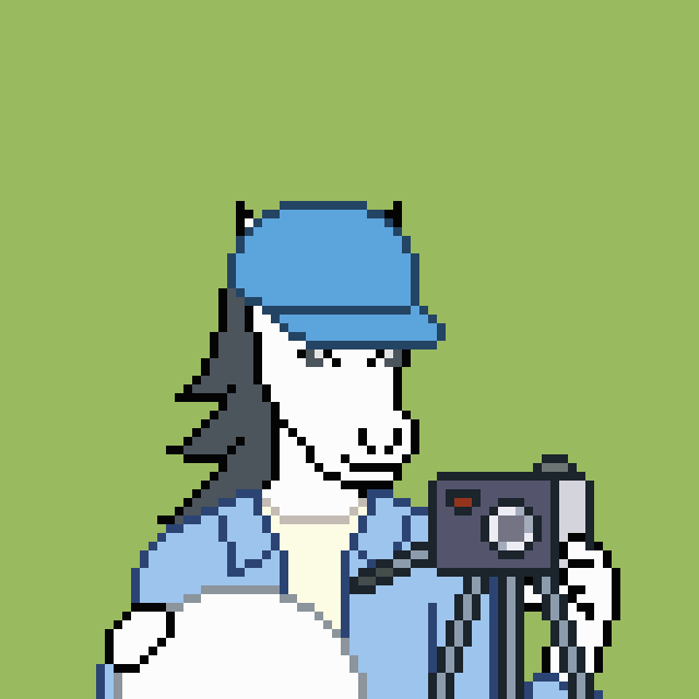 像素画_百格画_积木画_格子画_钻石画_拼豆豆_摄影马