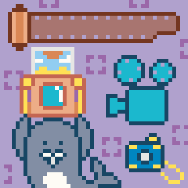 像素画_百格画_积木画_格子画_钻石画_拼豆豆_摄影海豹