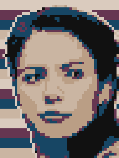 像素画_百格画_积木画_格子画_钻石画_拼豆豆_浴火鸟