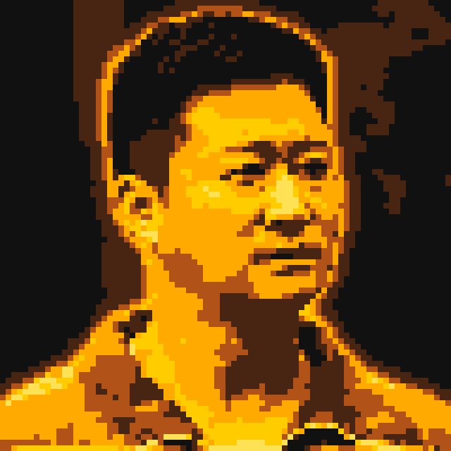 像素画_百格画_积木画_格子画_钻石画_拼豆豆_吴京