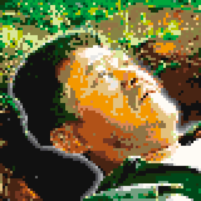 像素画_百格画_积木画_格子画_钻石画_拼豆豆_赵本山